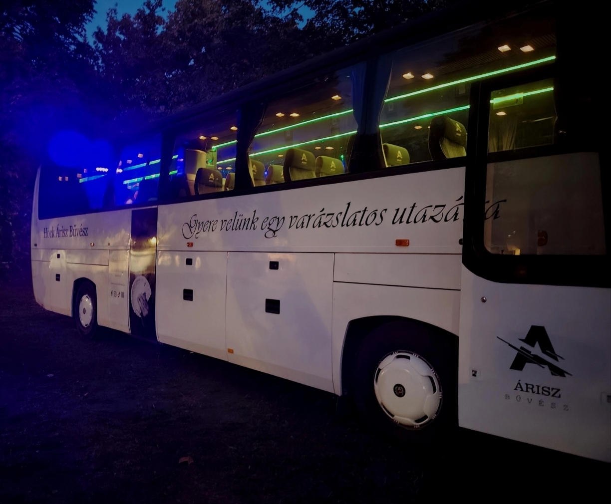 Buszos műsor galéria 1